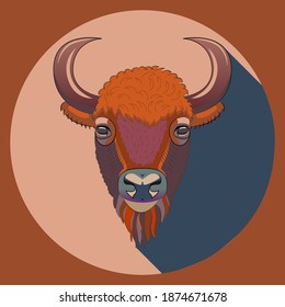 Portrait of a wild bull. Bison head. Big male.