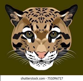 Portrait of a wild cat