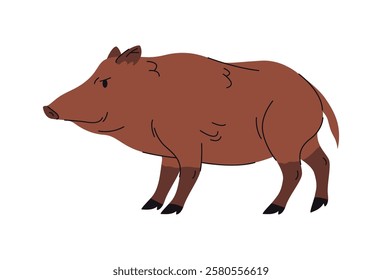 Portrait of wild forest creature, woods animal with tusks. Vector isolated European hog boar or sus scrofa. Domestic or wildlife character, personage from zoo with furry coat and scarry look