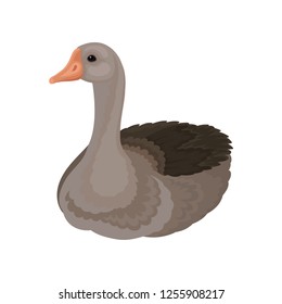 Portrait of wild goose. Large bird with gray feathers, long neck and orange beak. Flat vector icon