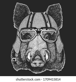 Portrait of wild hog, boar, pig. Vintage motorcycle leather helmet. Face of brave animal.