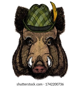 Portrait of wild hog, boar, pig. Austrian bavarian tirol hat. Beer festival. Oktoberfest.