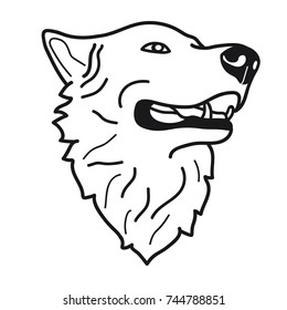 portrait of wolf doodle on White Background,Vector illustration