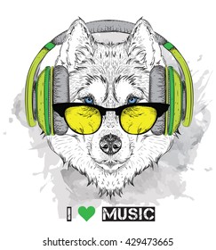 Portrait of wolf with glasses, headphones and in hip-hop hat. Vector illustration