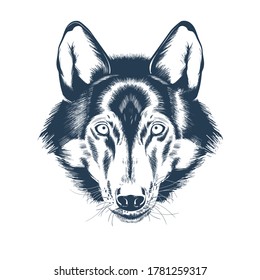 狼の頭のポートレート オオカミの顔の描画スケッチ リアルな手描きのベクトルイラスト のベクター画像素材 ロイヤリティフリー Shutterstock