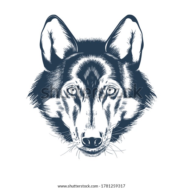 狼の頭のポートレート オオカミの顔の描画スケッチ リアルな手描きのベクトルイラスト のベクター画像素材 ロイヤリティフリー