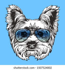 Portrait of Yorkshire Terrier Dog with blue sunglasses. Hand-drawn illustration. Vector