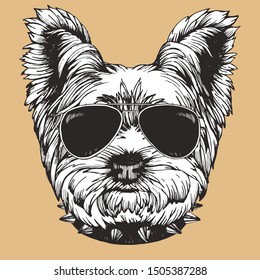 Portrait of Yorkshire Terrier Dog with collar and sunglasses. Hand-drawn illustration. Vector