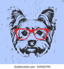 Retrato de Yorkshire Terrier Dog con gafas. Ilustración hecha a mano.  Diseño de camisetas. Vector