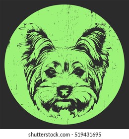 Portrait of Yorkshire Terrier Dog. Hand-drawn illustration. T-shirt design. Vector