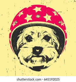 Portrait Of Yorkshire Terrier With Helmet. Vector