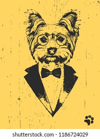 Portrait of Yorkshire Terrier in suit, hand-drawn illustration, vector