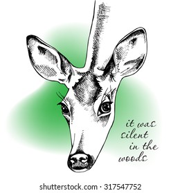 Portrait of a young deer on green background. Vector illustration.