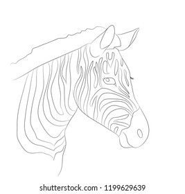 portrait of zebra drawing lines, vector, white background
