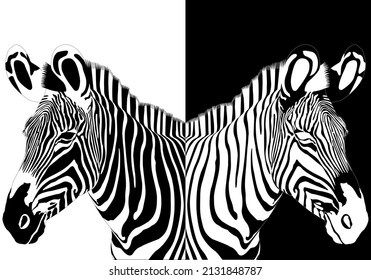 Retrato de cebra con reflejo inverso. Ilustración vectorial
