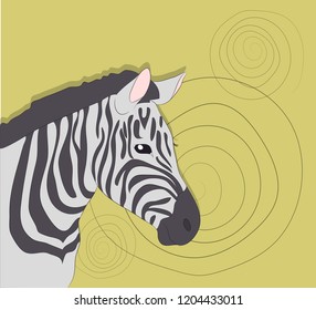 portrait of zebra on a colored background, vector