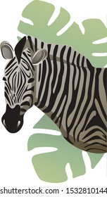 
Portrait of a zebra in the wild.  Colorful vector illustration.