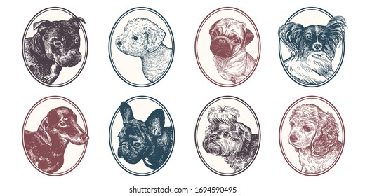 Portraits of animals in frame set. Pet dogs and puppies. Bull Terrier, Dachshund, Spitz, Bichon Frize, Yorkshire Terrier, Pug, Spaniel, Papillon and Bulldog. Vector illustration, sketch. Hand drawing.