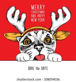 Portraits of a cat in mask Santa's antler reindeer on red background. Vector illustration.