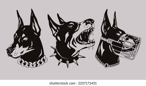 Portraits of a Doberman dog. Set of three various heads. Dog with spiked and chain collar, dog with muzzle. Calm and Barking doberman. Hand drawn Vector illustration. Print, dog training logo template