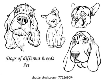 portraits of dogs of different breeds, black and white graphic vector illustration