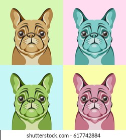 Portraits of a French bulldog dog in different color variants. Set