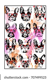 Portraits of French bulldog wearing sunglasses - vector illustration