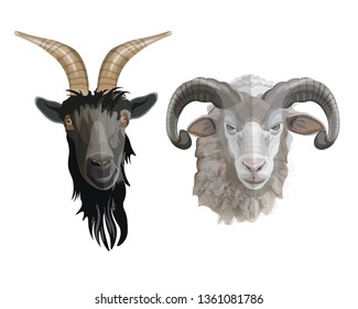 Portraits of goat and ram heads. Vector illustration isolated on white background