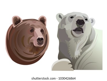 Portraits of polar and brown bears. Vector illustration isolated on white background