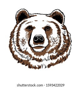 Portrite bear, emblems and labels, for mascot or logo design. Template. Close-up. Clip art. Hand Painting. Ink. Line art