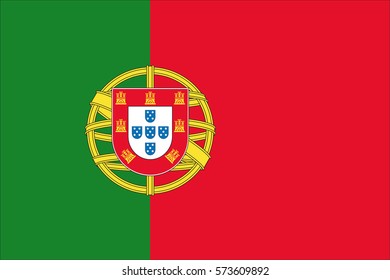 Portugal flag vector