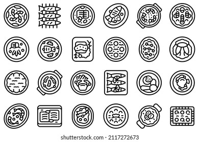 Portugese cuisine icons set outline vector. Cooking bowl. Acorda dish