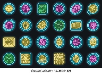 Portugese cuisine icons set outline vector. Cooking bowl. Acorda dish vector neon