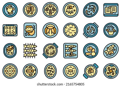 Portugese cuisine icons set outline vector. Cooking bowl. Acorda dish thin line color flat on white