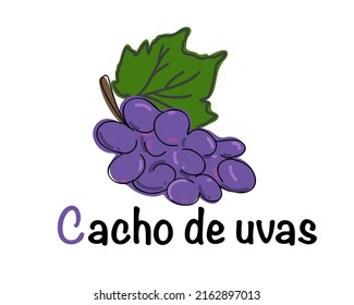 Portuguese alphabet depicting a vine. Translation from Portuguese: grapes. Vector doodle hand drawn illustration