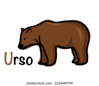 Portuguese alphabet with a picture of a bear. Translation from Portuguese: bear. Vector doodle hand drawn illustration