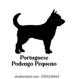 Portuguese Podengo Pequeno Dog silhouette dog breeds logo dog monogram logo dog face vector