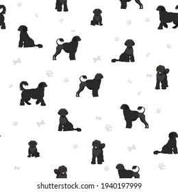 Portuguese seamless pattern. Different poses, coat colors set.  Vector illustration