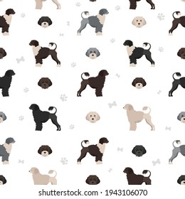 Portuguese seamless pattern. Different poses, coat colors set.  Vector illustration