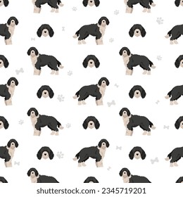 Portuguese seamless pattern. Different poses, coat colors set.  Vector illustration