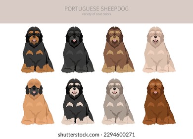 Portuguese Sheepdog clipart. Different poses, coat colors set.  Vector illustration