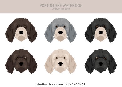 Portuguese water dog clipart. Different poses, coat colors set.  Vector illustration