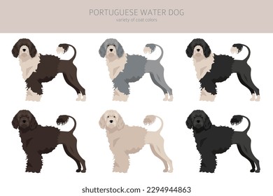 Portuguese water dog clipart. Different poses, coat colors set.  Vector illustration