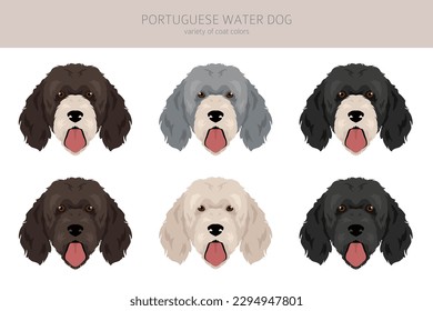 Portuguese water dog clipart. Different poses, coat colors set.  Vector illustration