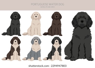 Portuguese water dog clipart. Different poses, coat colors set.  Vector illustration