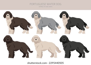 Portuguese water dog clipart. Different poses, coat colors set.  Vector illustration