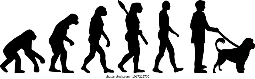 Portuguese water dog evolution with silhouette