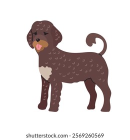 Portuguese water dog icon clipart avatar logotype isolated illustration