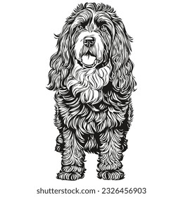 Portuguese Water dog ink sketch drawing, vintage tattoo or t shirt print black and white vector realistic breed pet