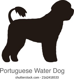 Portuguese Water dog on the hole, watching, vector illustration